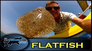 How to catch Flatfish on bait  Totally Awesome Fishing Show [upl. by Menides385]