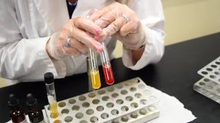 How to Inoculate amp Interpret a Nitrate Broth Tube  MCCC Microbiology [upl. by Marrin356]