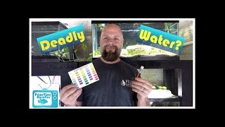 The Silent Killer  Nitrates in Your Fish Tank  What to Do About Them [upl. by Drawde]