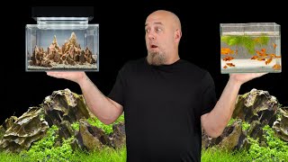 Amazing Ideas For Small Aquariums Fish Tank Set Up [upl. by Eittah]