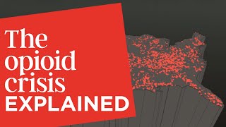 The Opioid Crisis explained in under 5 minutes [upl. by Aryhs]