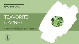 What Makes a Tsavorite Garnet Gemstone So Special [upl. by Enahpets677]