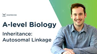 Inheritance Autosomal Linkage  Alevel Biology  OCR AQA Edexcel [upl. by Parish139]