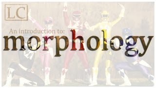 An Introduction to Morphology [upl. by Hafler46]