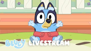 🔴LIVE BLUEY FULL EPISODES LIVESTREAM [upl. by Lunn]