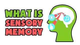 What is Sensory Memory  Explained in 2 min [upl. by Ynot]