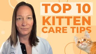 Top 10 Kitten Care Tips According to a Veterinarian [upl. by Latisha]