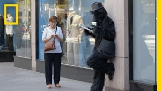 Walking While Texting  Crowd Control [upl. by Engleman439]