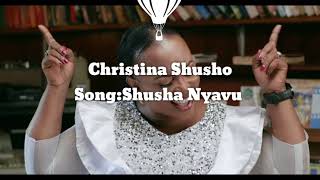 Christina Shusho NashushaNyavu Lyrics [upl. by Tray170]