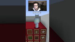 WALLIBEAR TAKES ON MOB ARENA gaming ⁠youtube funny minecraft memes tiktok shorts ytshorts [upl. by Turnheim]