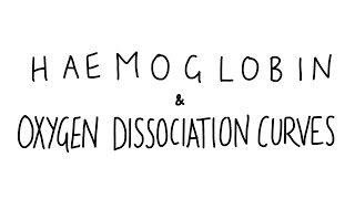 Haemoglobin amp Oxygen Dissociation Curves [upl. by Itsirc]