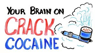 Your Brain on Crack Cocaine [upl. by Enelyak]