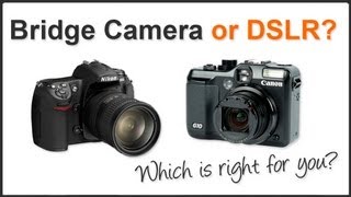 Bridge Camera or Digital SLR [upl. by Busch]