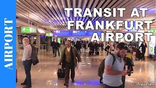 TRANSIT WALK AT FRANKFURT Airport FRA Terminal 1  Connection Flight Transfer Arriving amp Departing [upl. by Ahtela]