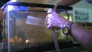 10 Gallon Aqarium Cleaning Tutorial Episode 5 [upl. by Merv]