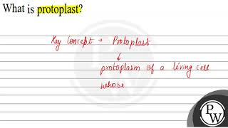 What is protoplast [upl. by Netsreik]