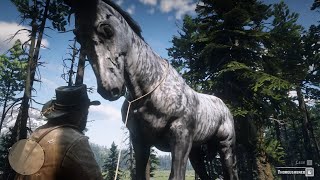 The biggest horse in Red Dead Redemption 2 [upl. by Ynotna]