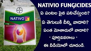 34 Best fungicide ౹ Bayer nativo full information in telugu by telugu raithu tips [upl. by Yrrag]