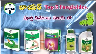 Bayer Top 5 FungicidesతెలుగులోMana kisan మన రైతు [upl. by Vevine]