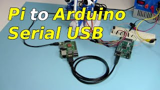 Raspberry Pi to Arduino Serial USB Communication [upl. by Laicram917]