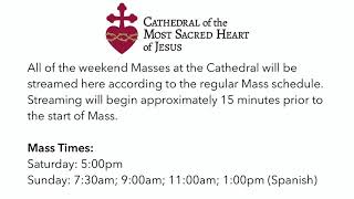 Cathedral Masses Streamed Live [upl. by Bernj]