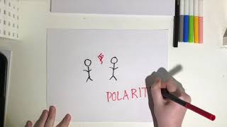 what is POLARITY [upl. by Susan]