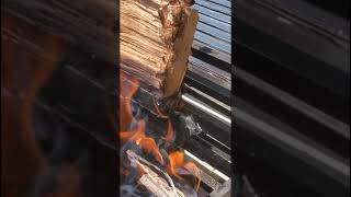 Argentina BBQ Authentic Asado How to season your grill Argentine parrilla grill [upl. by Nie]