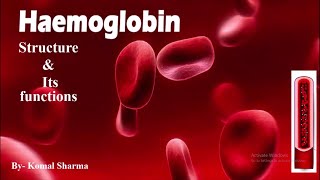 Hemoglobin structure amp its functions  Study MLT [upl. by Wilhide]