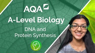 AQA A Level Biology DNA and Protein Synthesis [upl. by Nywloc631]