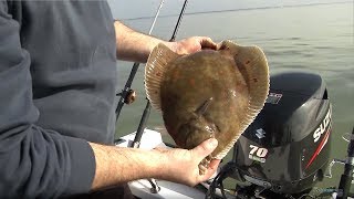 Fishing for Flatfish  Rigs Tips amp Tactics  CATCH MORE FISH [upl. by Nonac]