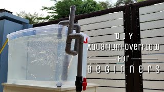 DIY Aquarium Overflow Design for Beginners Tutorial [upl. by Vale]